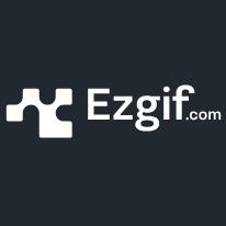 PDF Icon